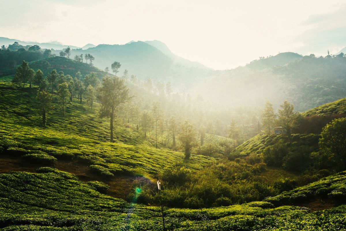 4 Days Wayanad Coorg Group Trip from Hyderabad poster